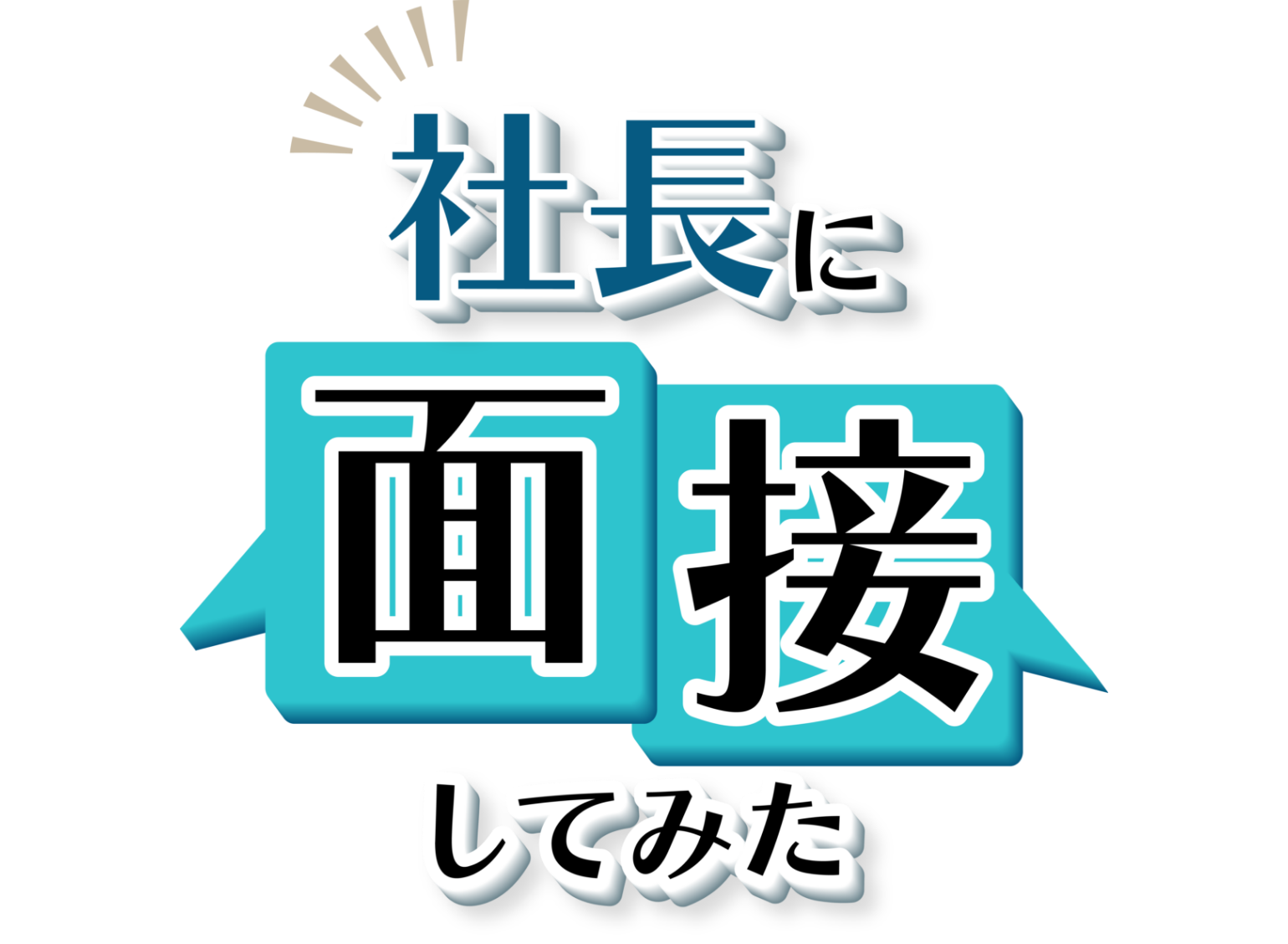 社長に面接してみたのリンク